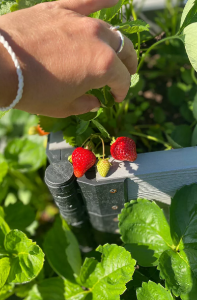 Поворотный угловой шарнир пластиковый 150х25мм.- Чёрный